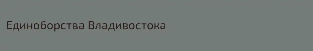Единоборства Владивостока